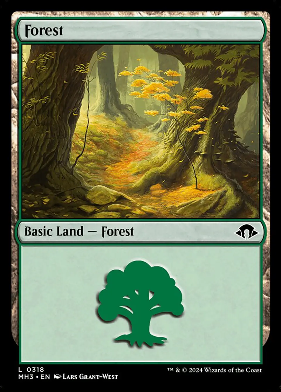 Forest 1