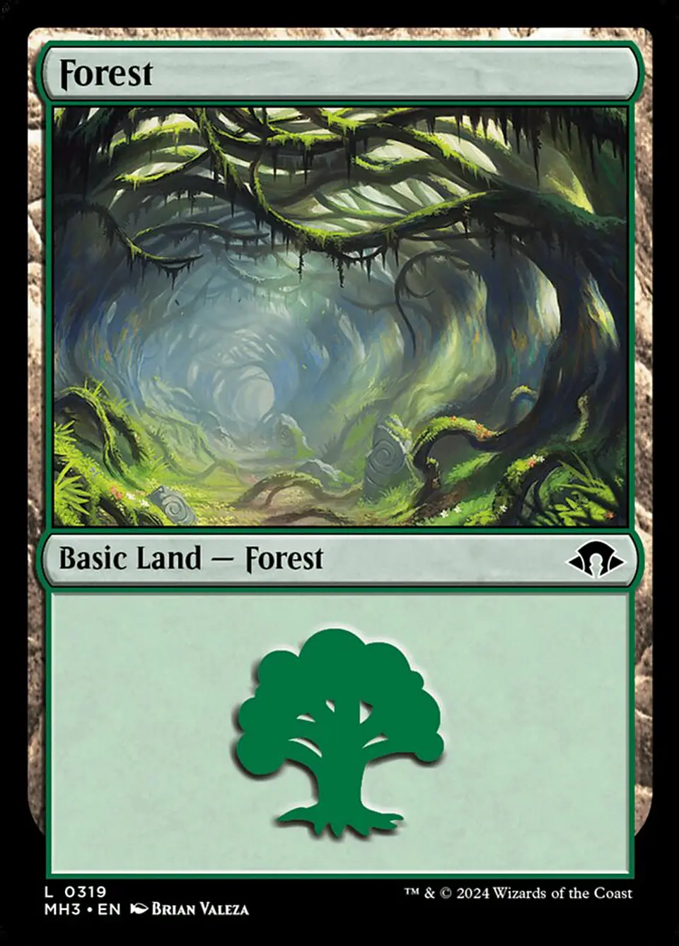 Forest 1