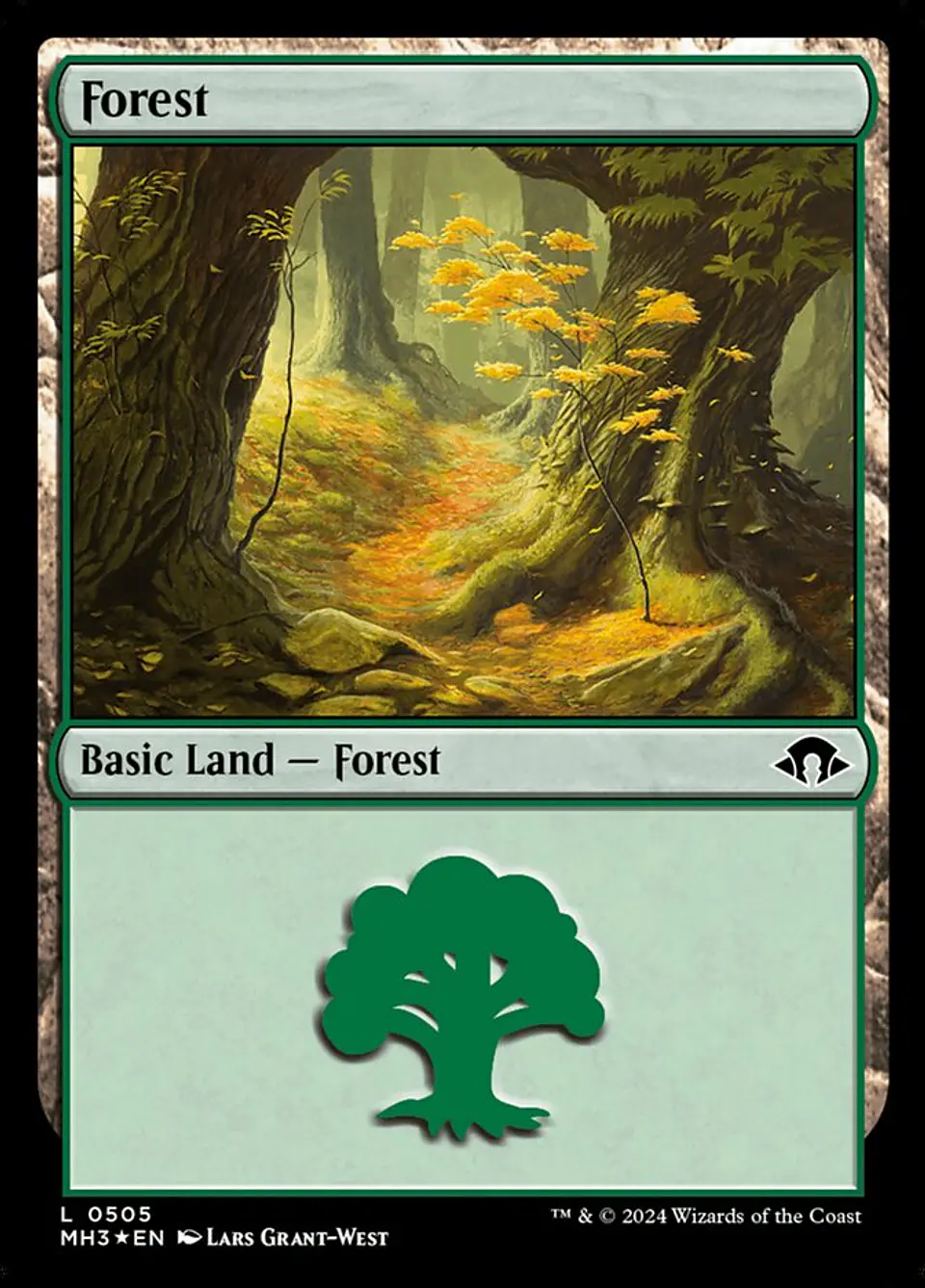 Forest 1