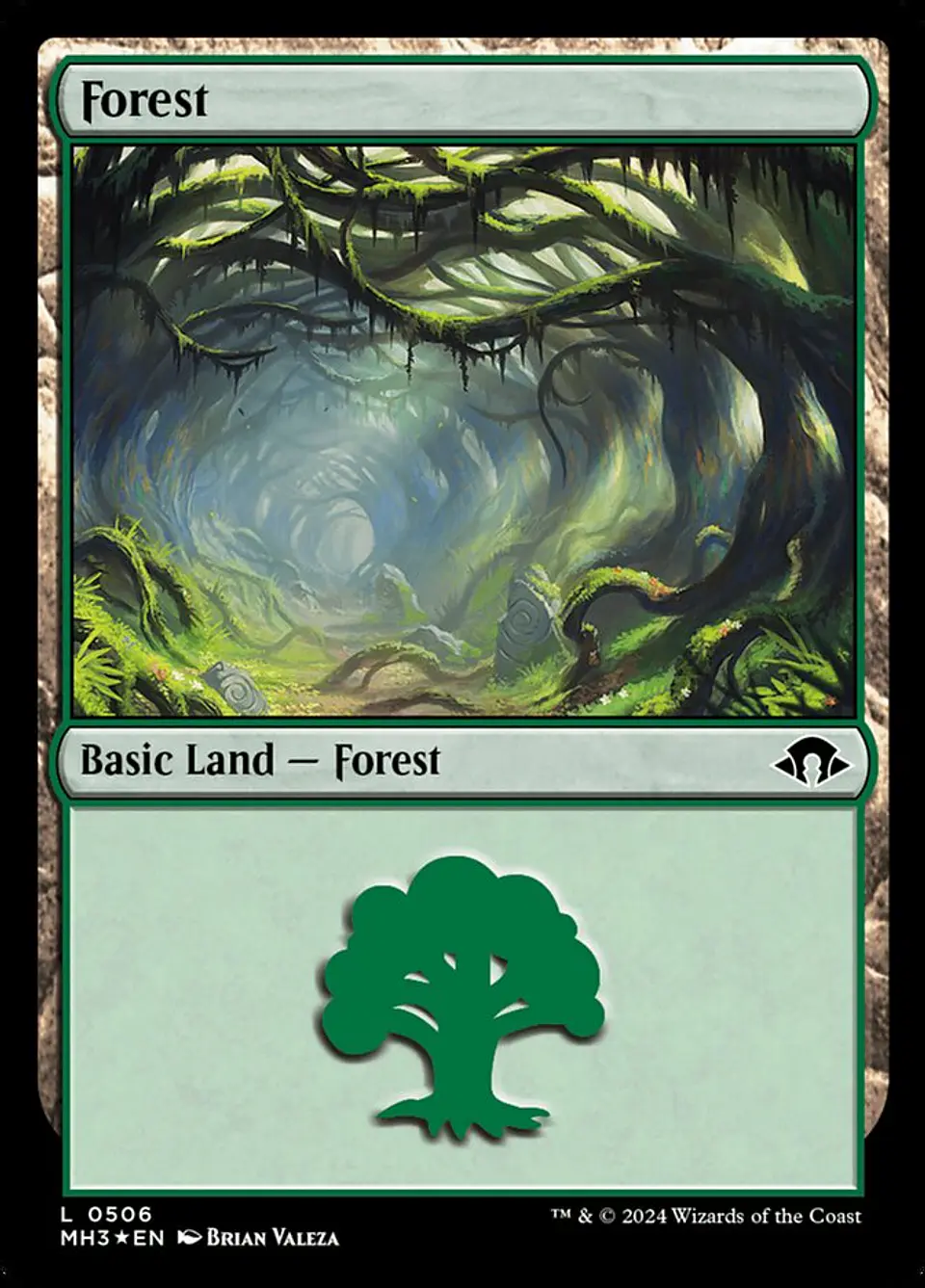 Forest 1