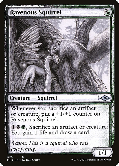 Ravenous Squirrel (Showcase)