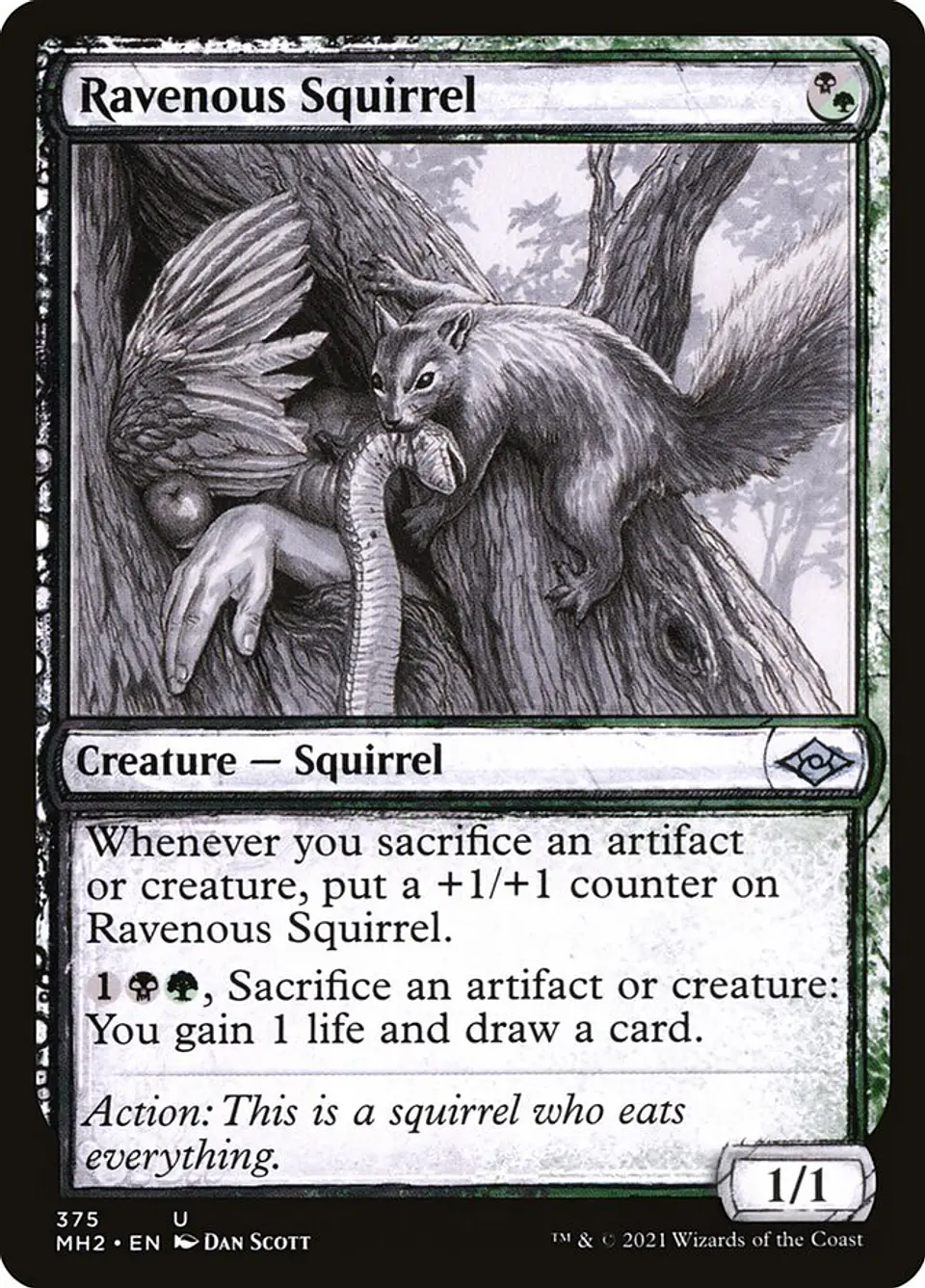 Ravenous Squirrel (Showcase) 1