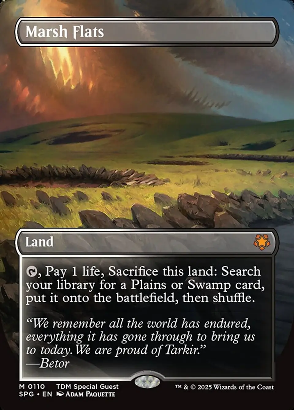 Marsh Flats (Borderless) 1