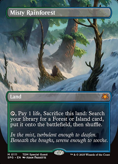 Misty Rainforest (Borderless)