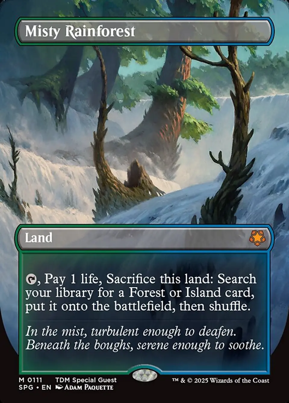Misty Rainforest (Borderless) 1