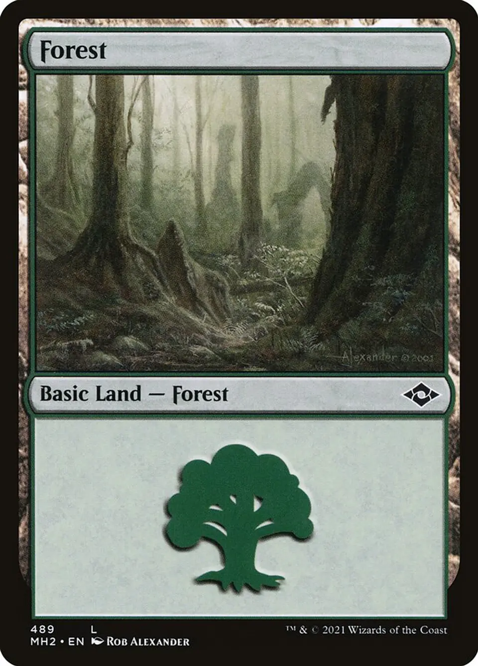 Forest 1