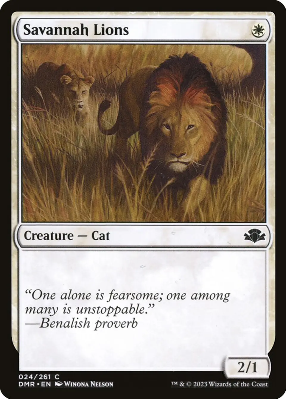 Savannah Lions 1