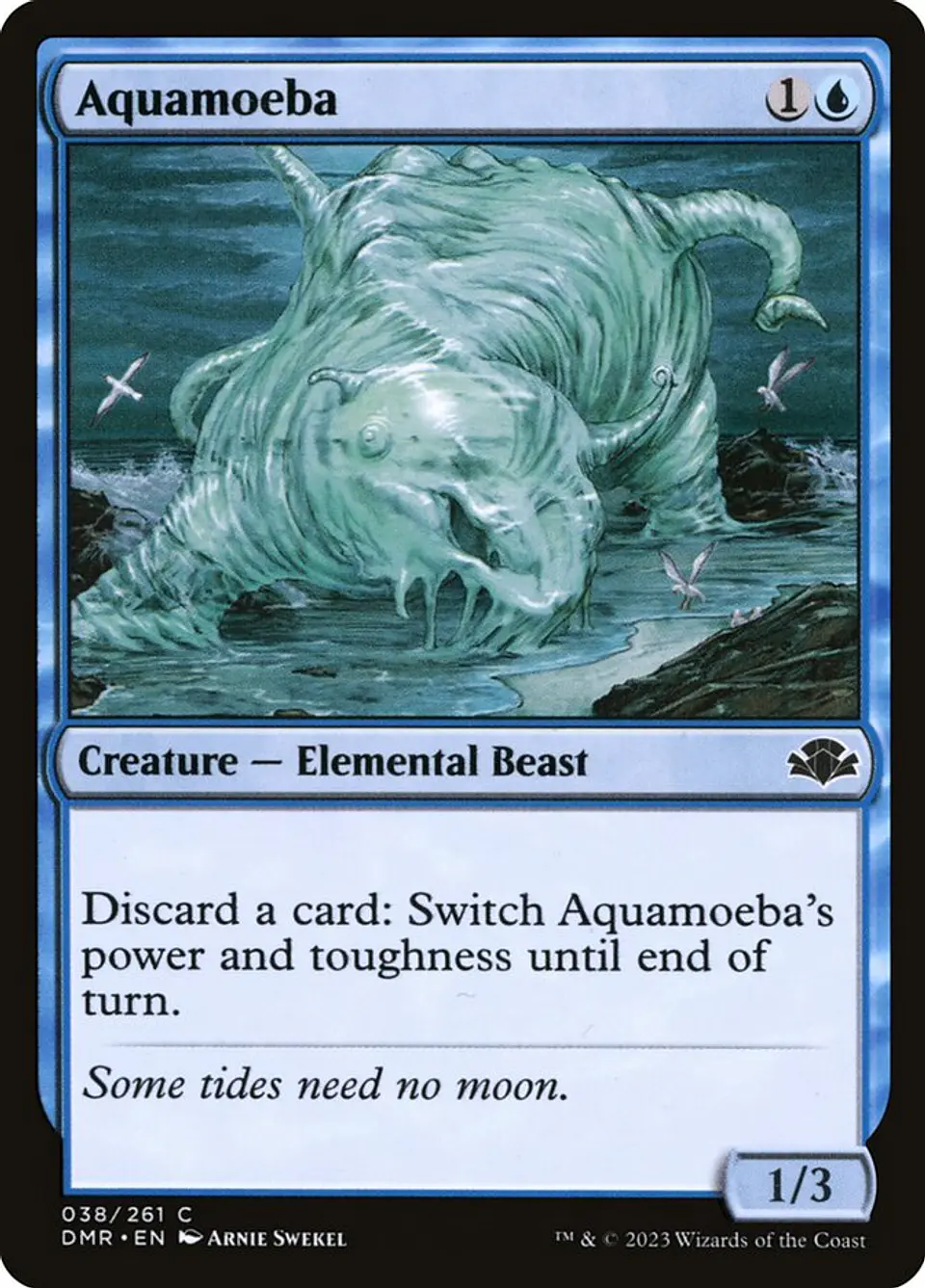 Aquamoeba 1