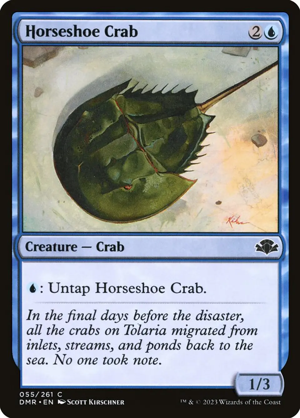 Horseshoe Crab 1