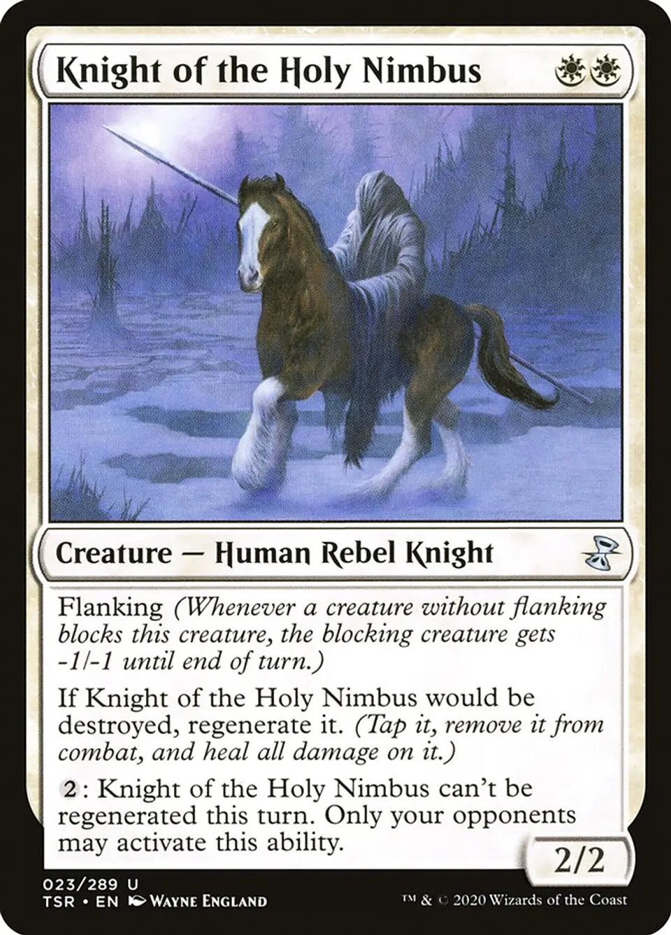 Knight of the Holy Nimbus 1