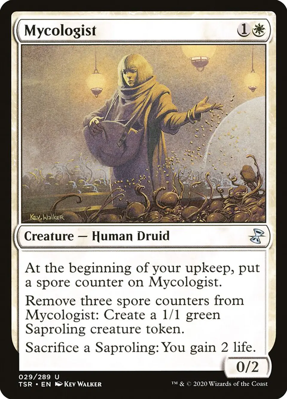 Mycologist 1