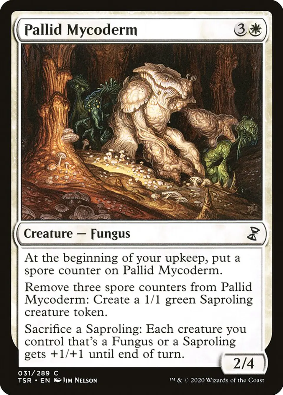 Pallid Mycoderm 1