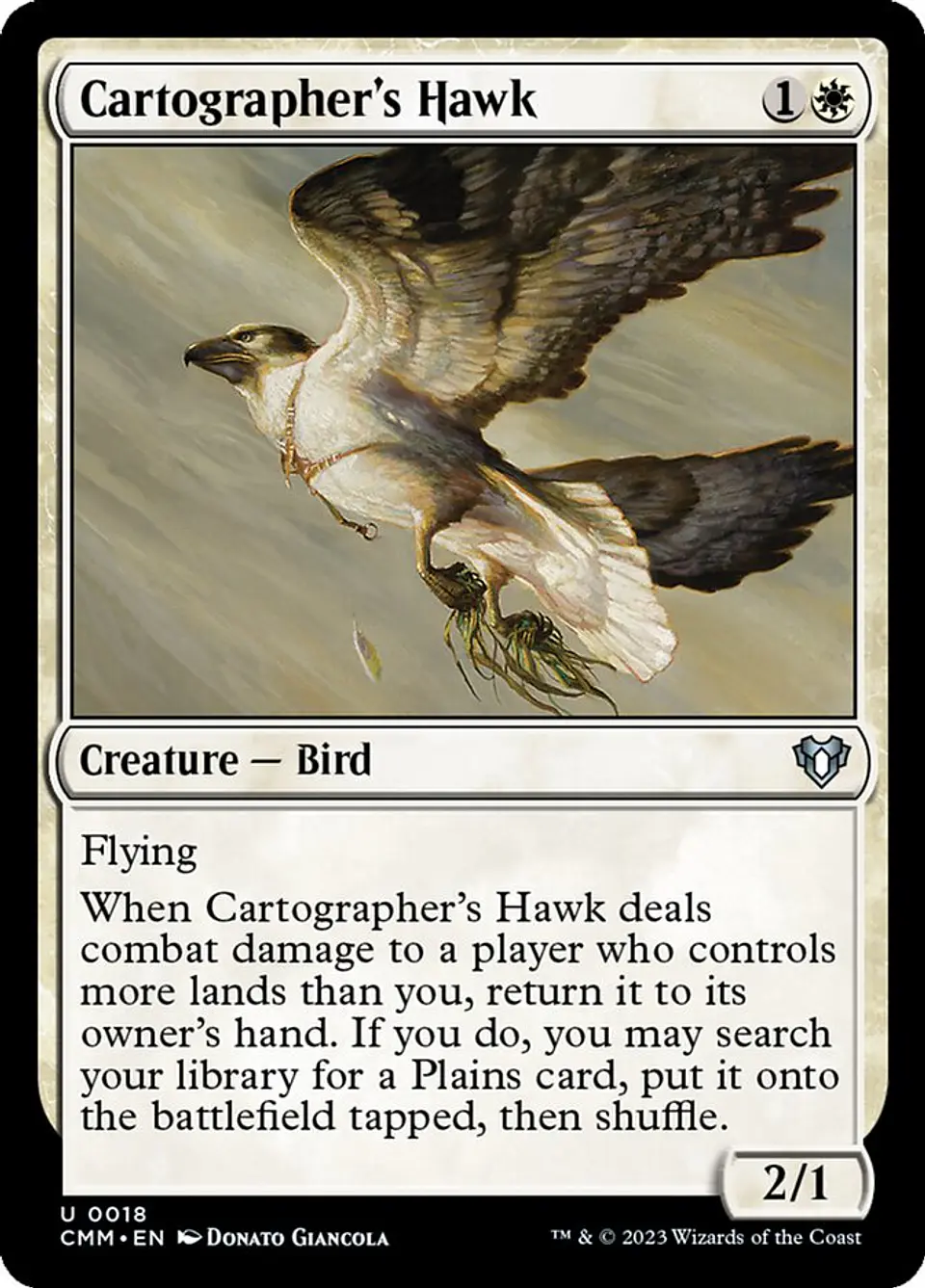 Cartographer's Hawk 1
