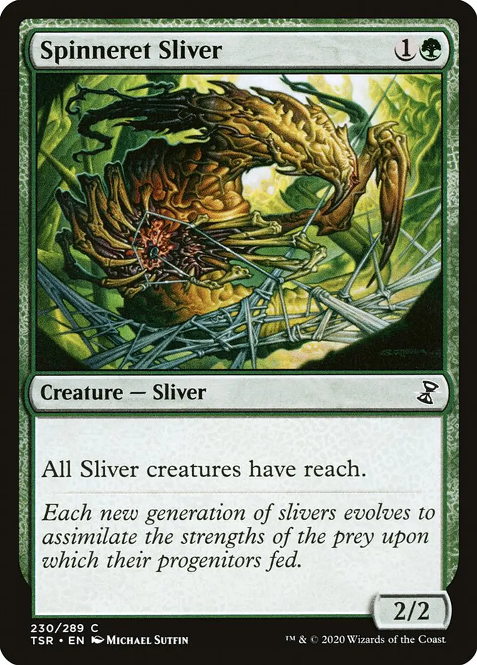 Spinneret Sliver 1