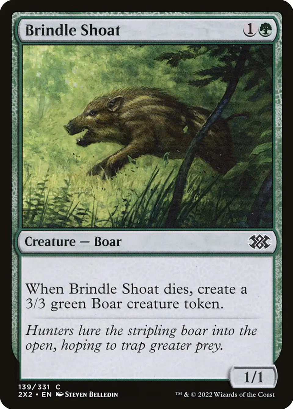 Brindle Shoat 1