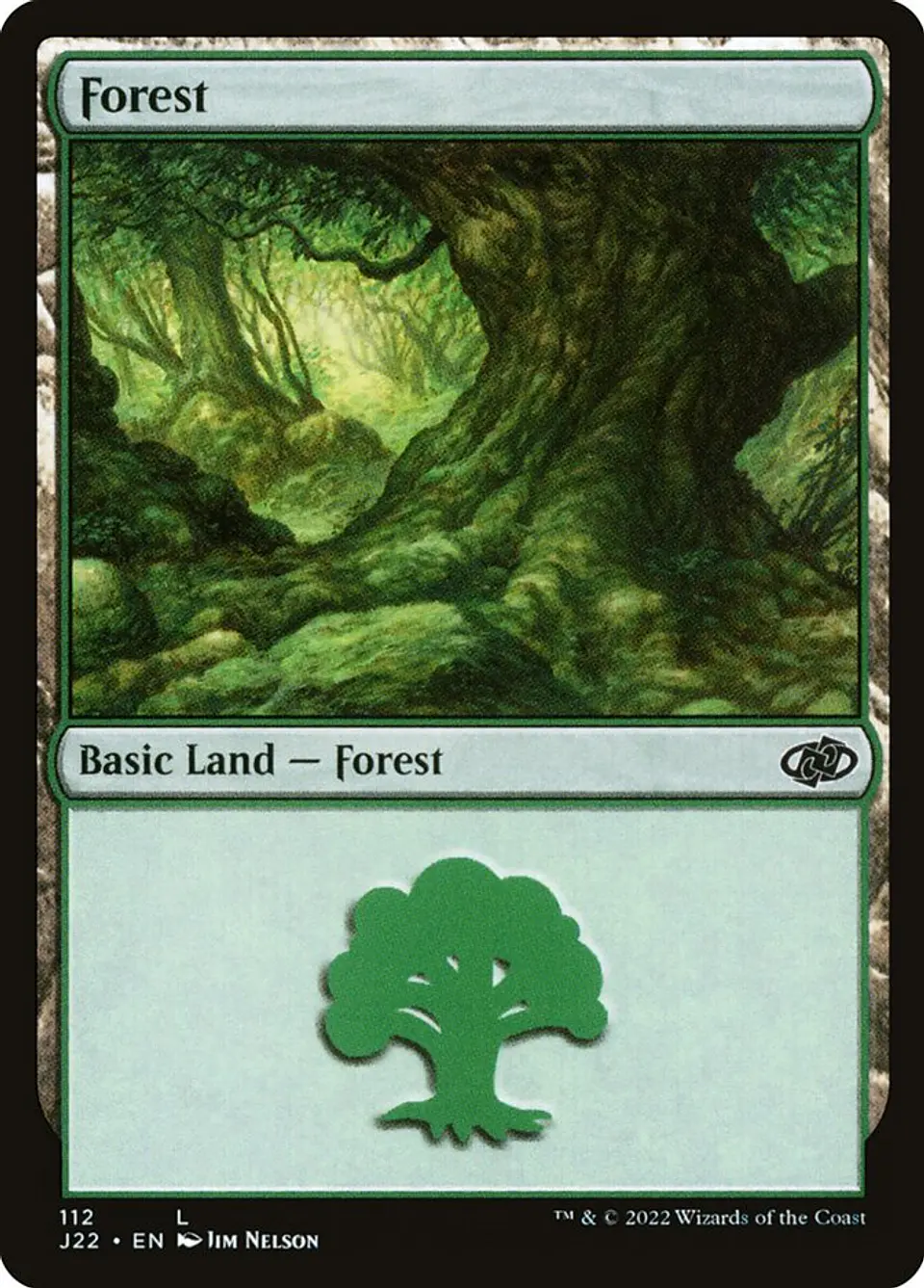 Forest 1