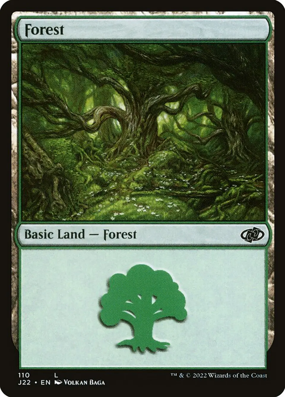 Forest 1