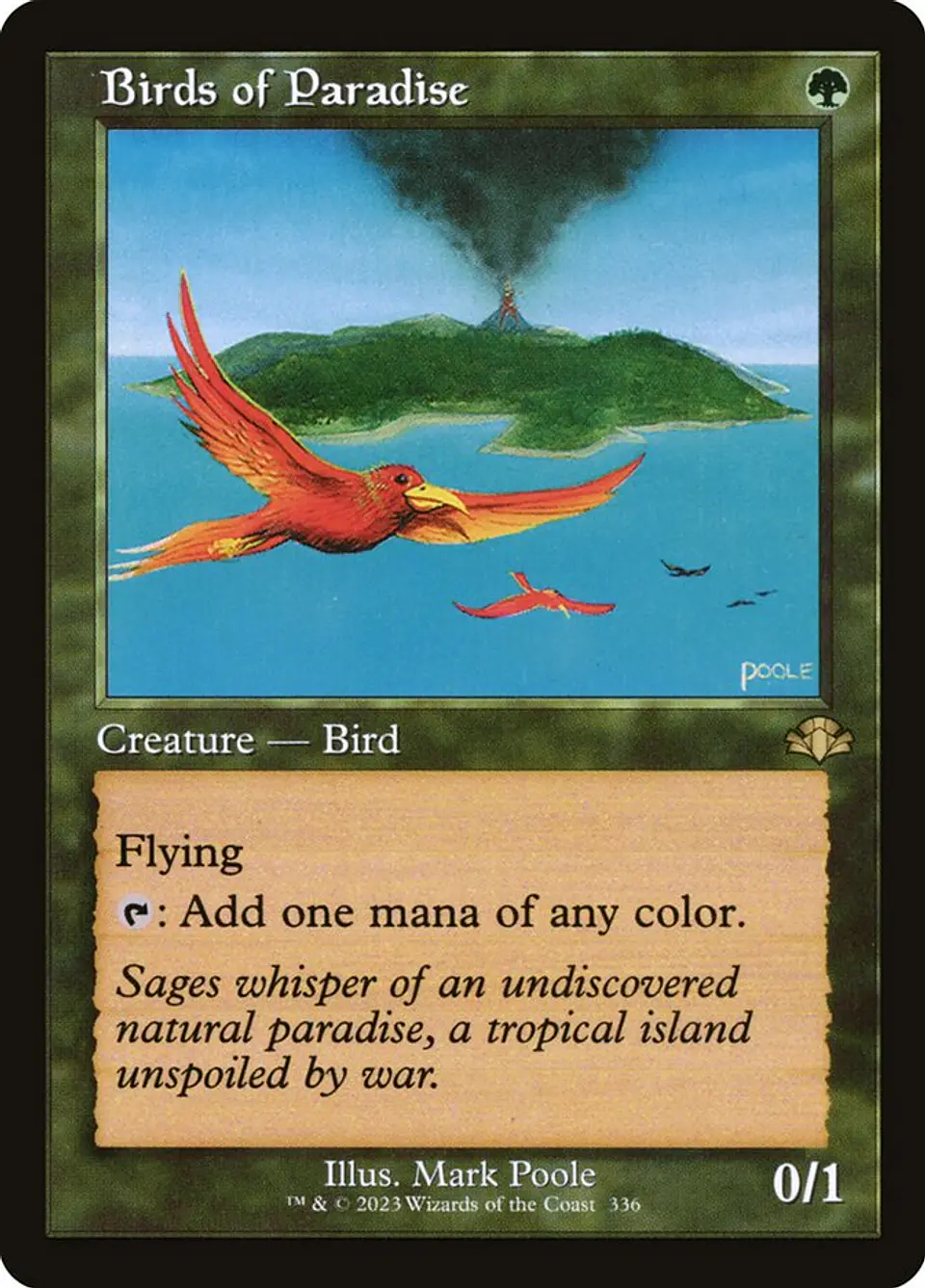 Birds of Paradise (Retro Frame) 1