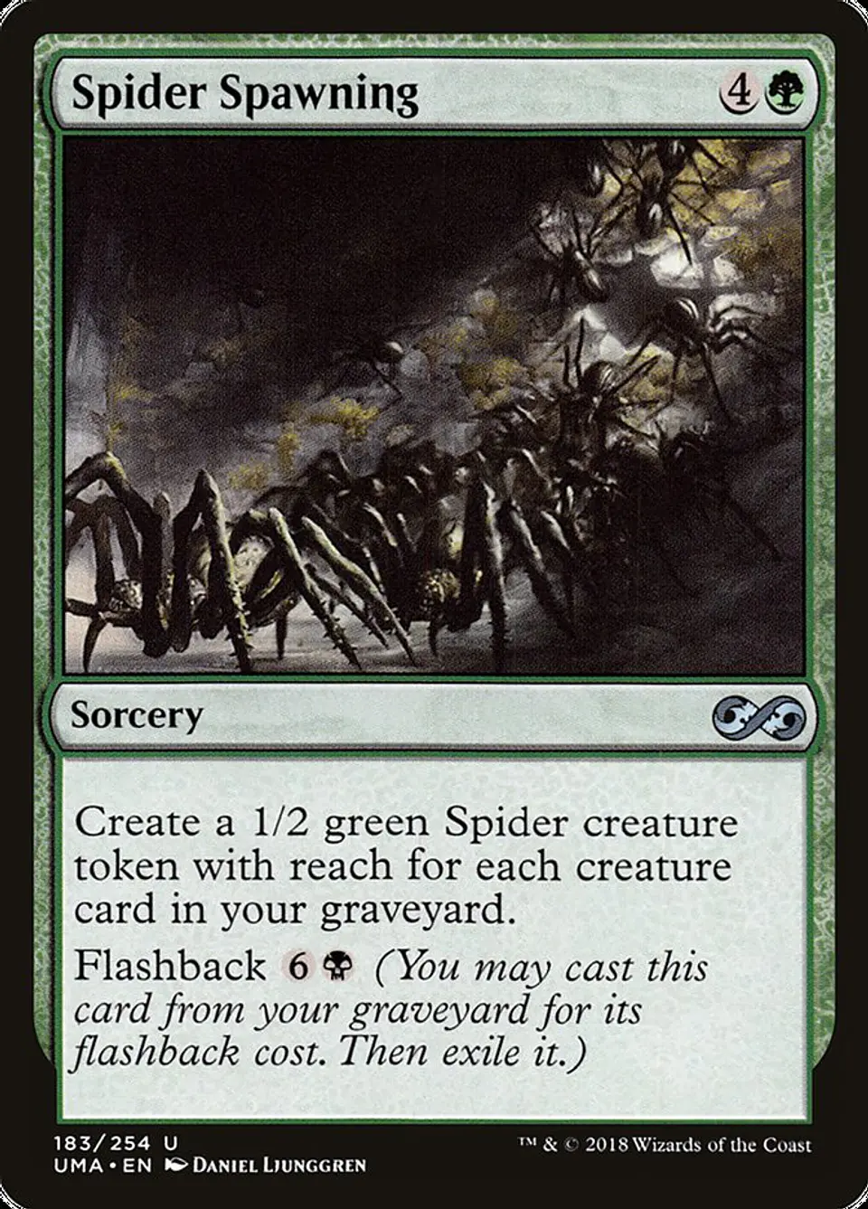 Spider Spawning 1