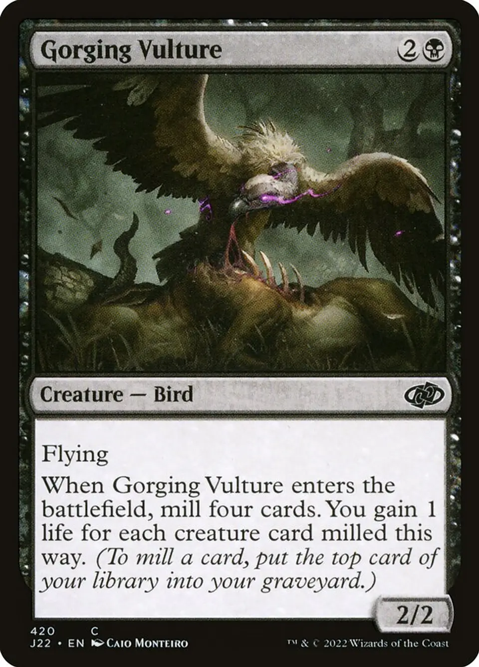 Gorging Vulture 1
