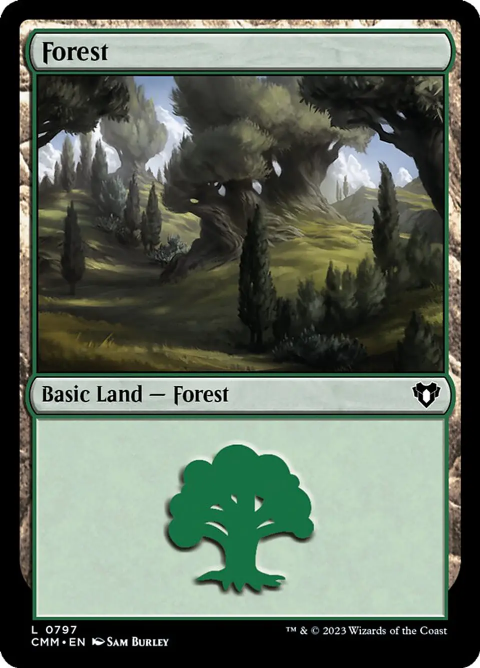 Forest 1