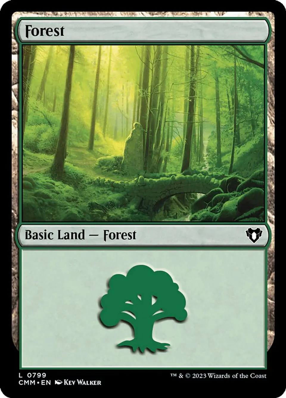 Forest 1