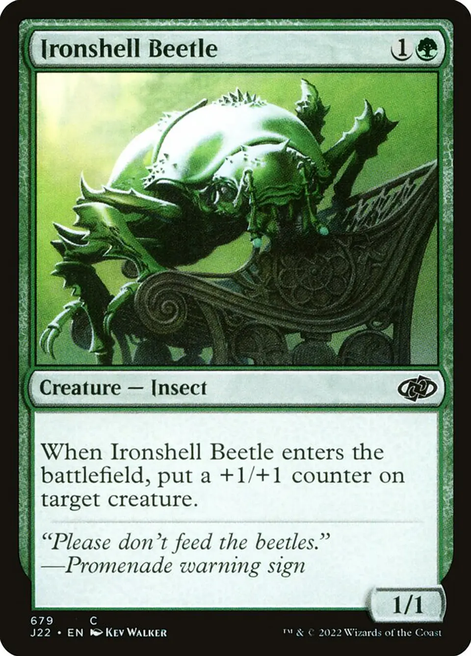 Ironshell Beetle 1