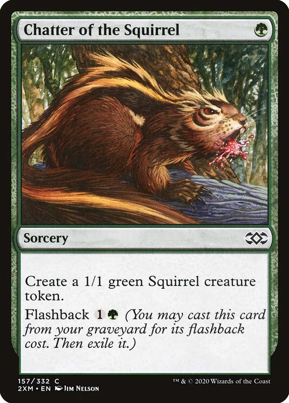 Chatter of the Squirrel 1