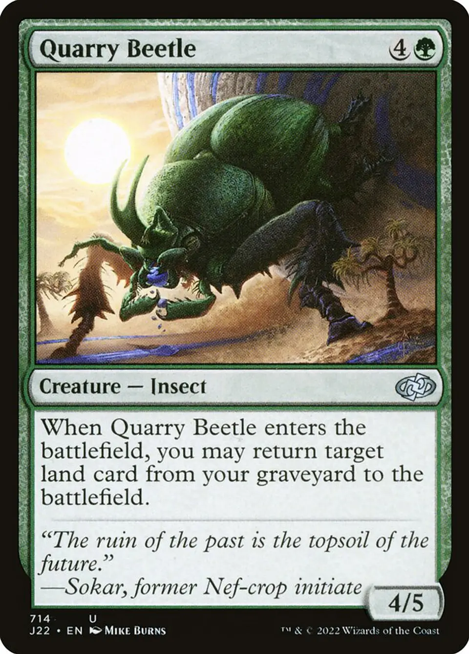 Quarry Beetle 1