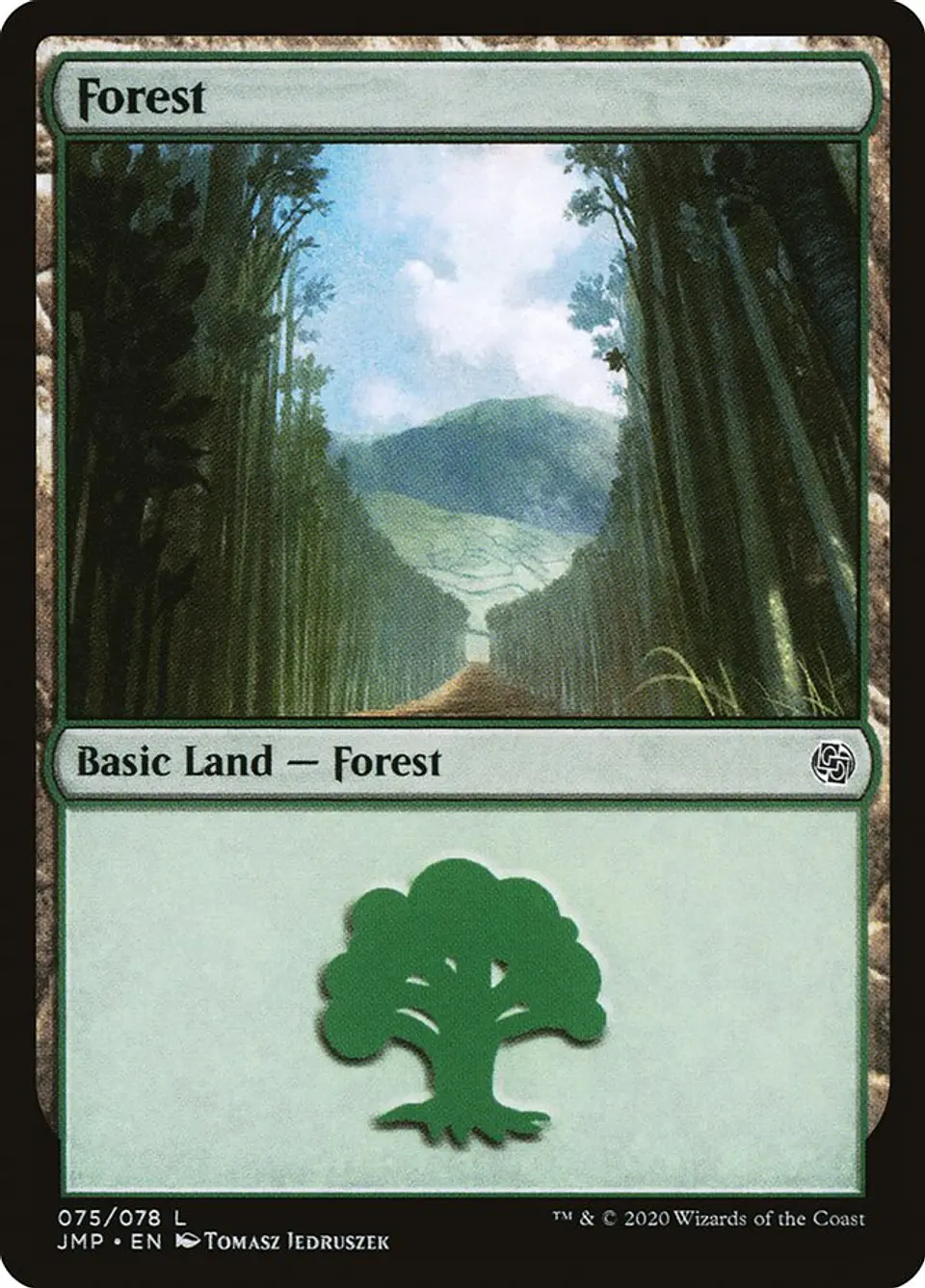 Forest 1