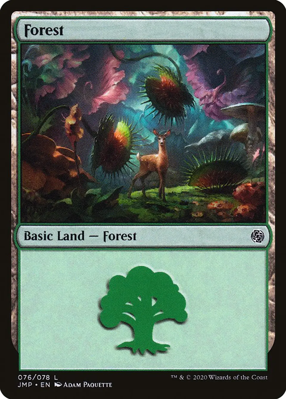Forest 1