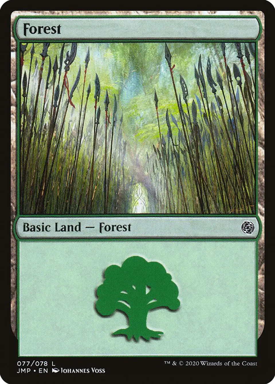 Forest 1