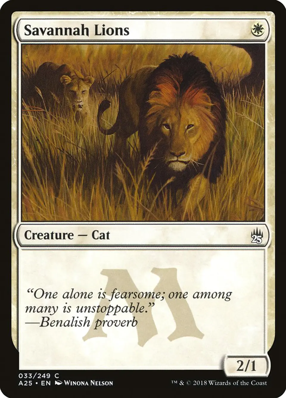 Savannah Lions 1