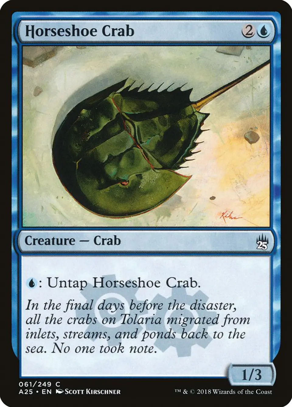 Horseshoe Crab 1