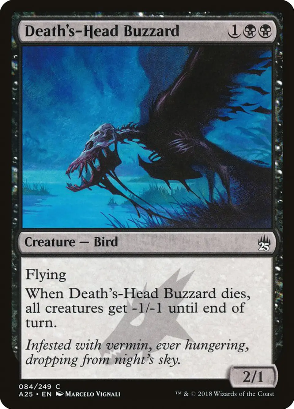 Death's-Head Buzzard 1