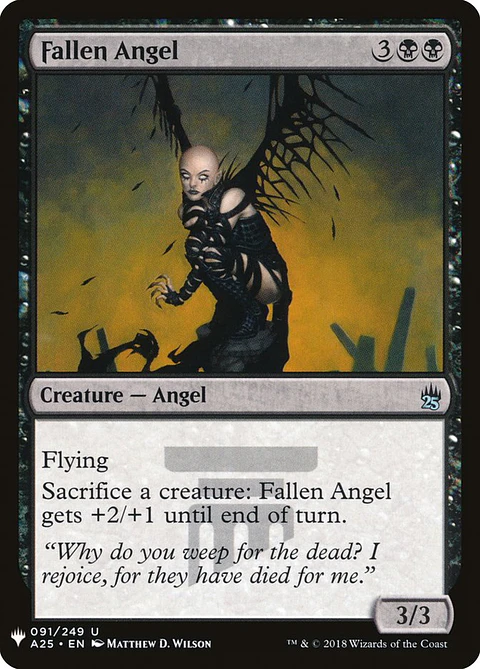 Fallen Angel (The List)