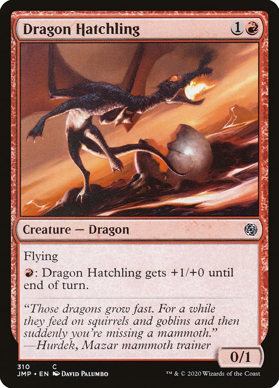 Dragon Hatchling 1