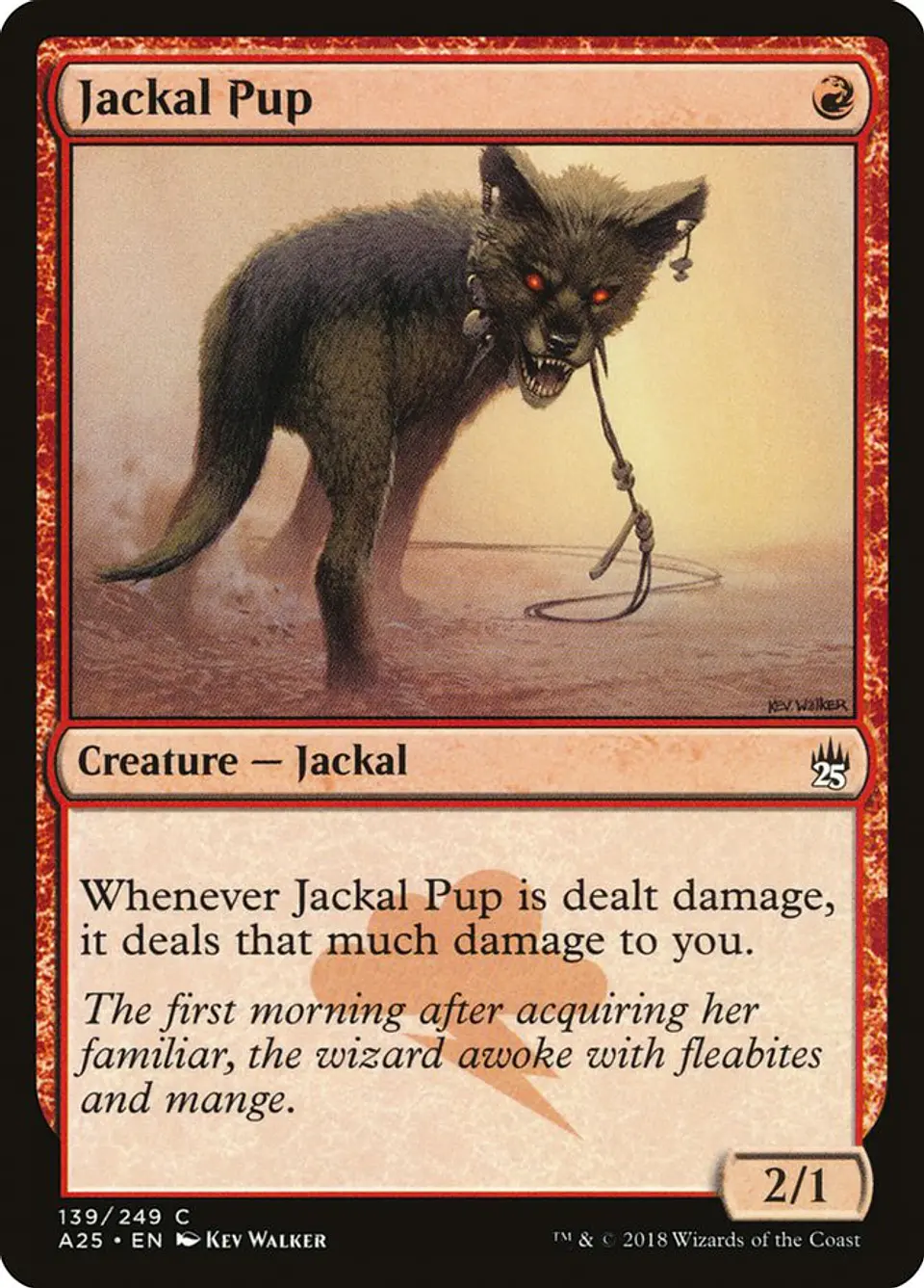 Jackal Pup 1