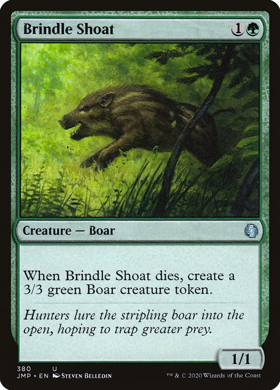 Brindle Shoat 1