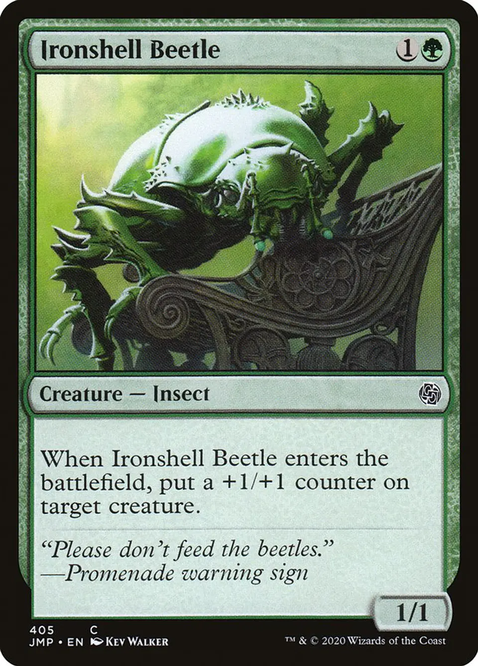 Ironshell Beetle 1