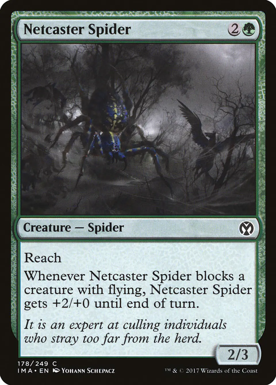 Netcaster Spider 1