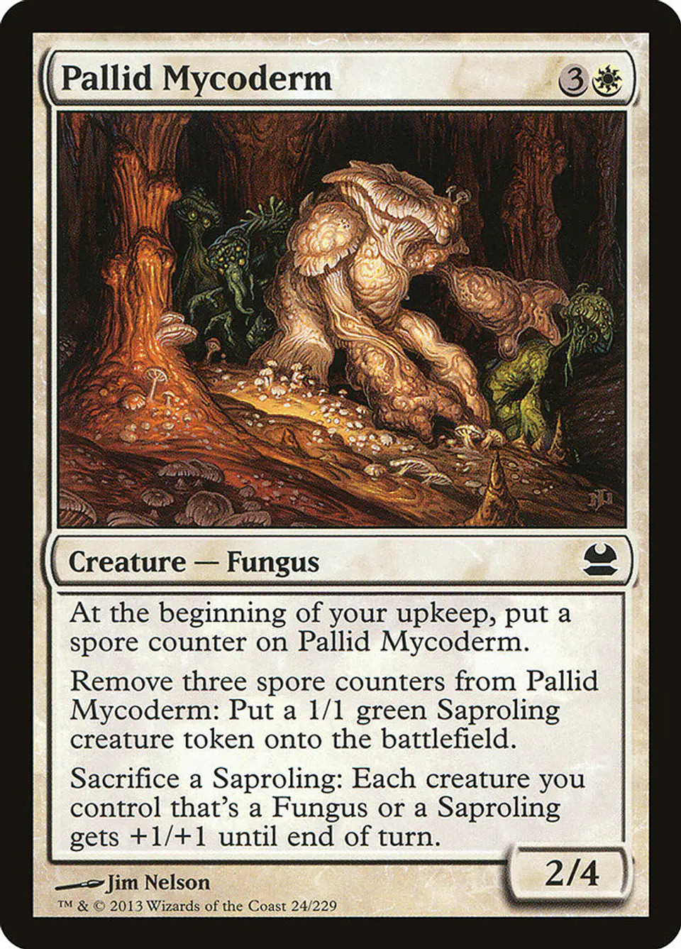 Pallid Mycoderm 1