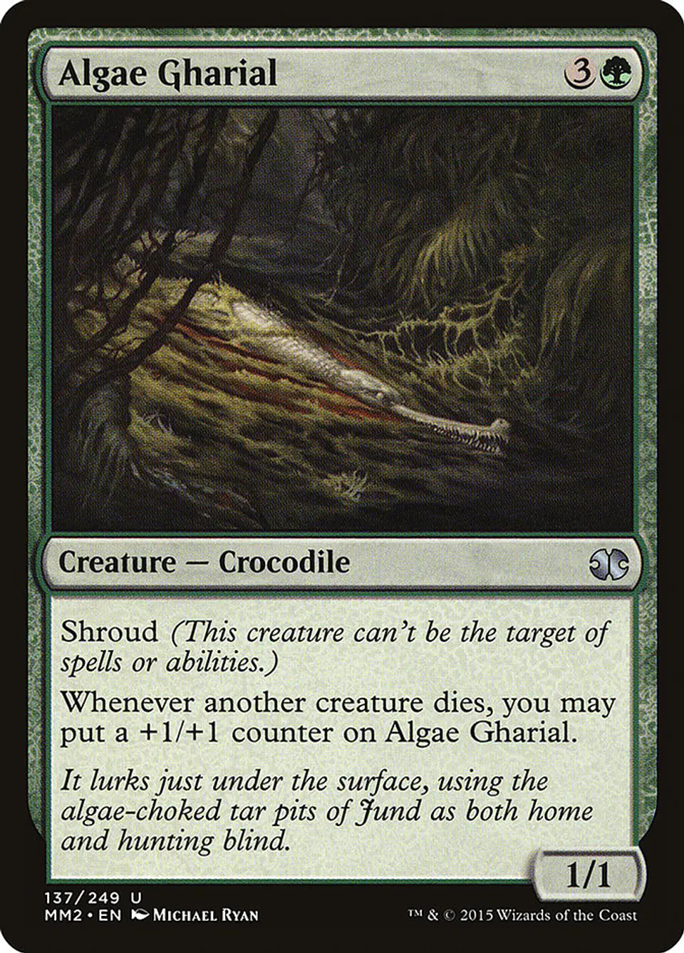 Algae Gharial 1