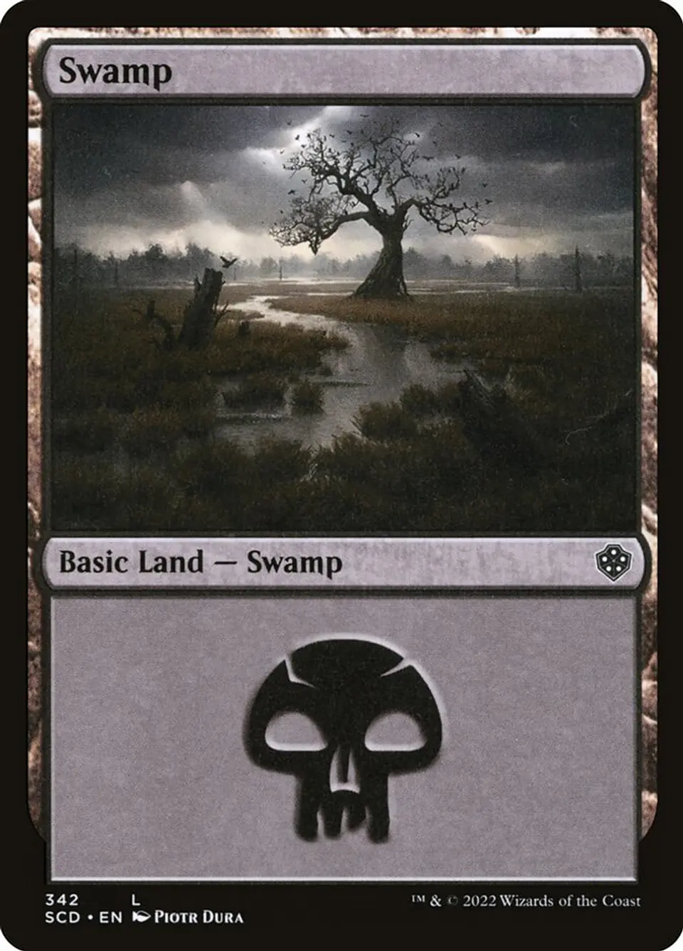 Swamp 1