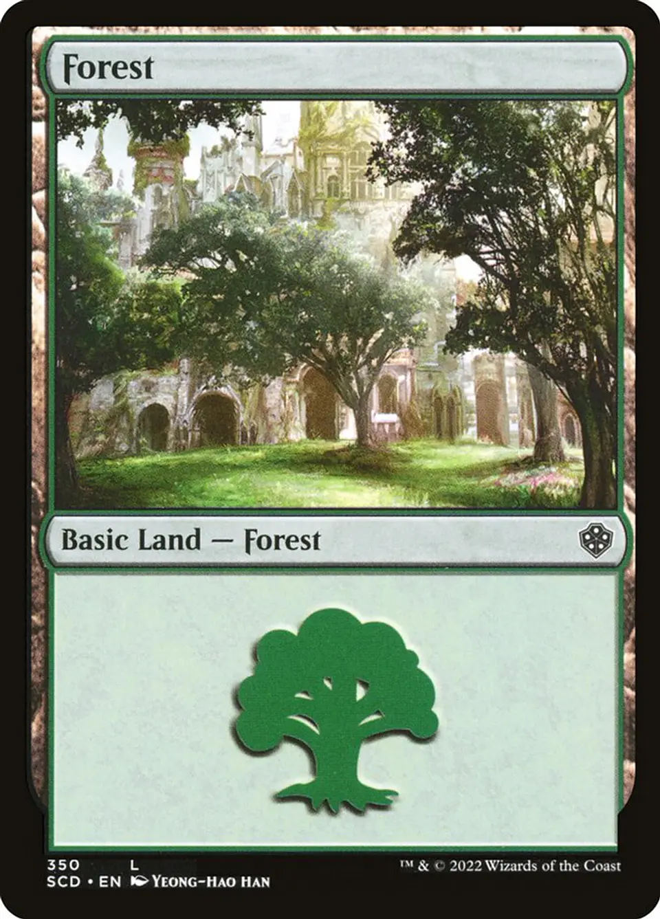 Forest 1