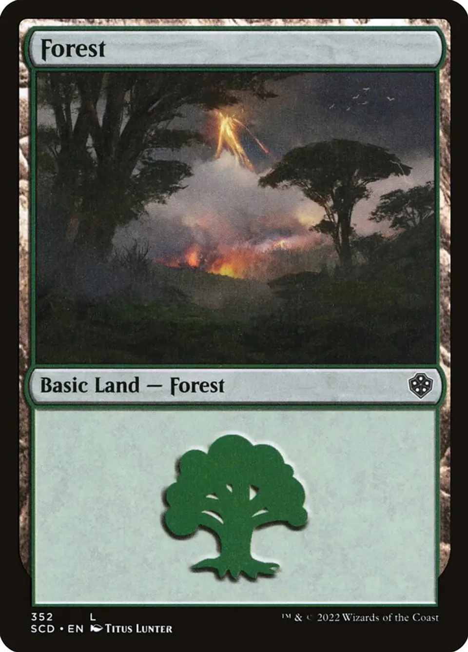 Forest 1