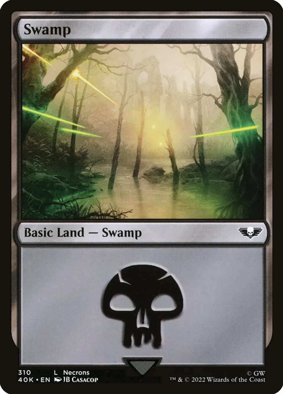 Swamp 1