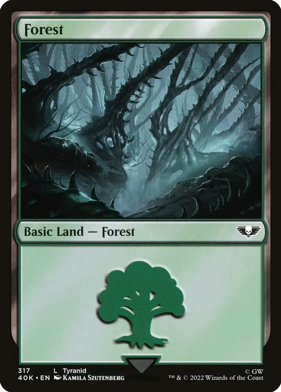 Forest 1