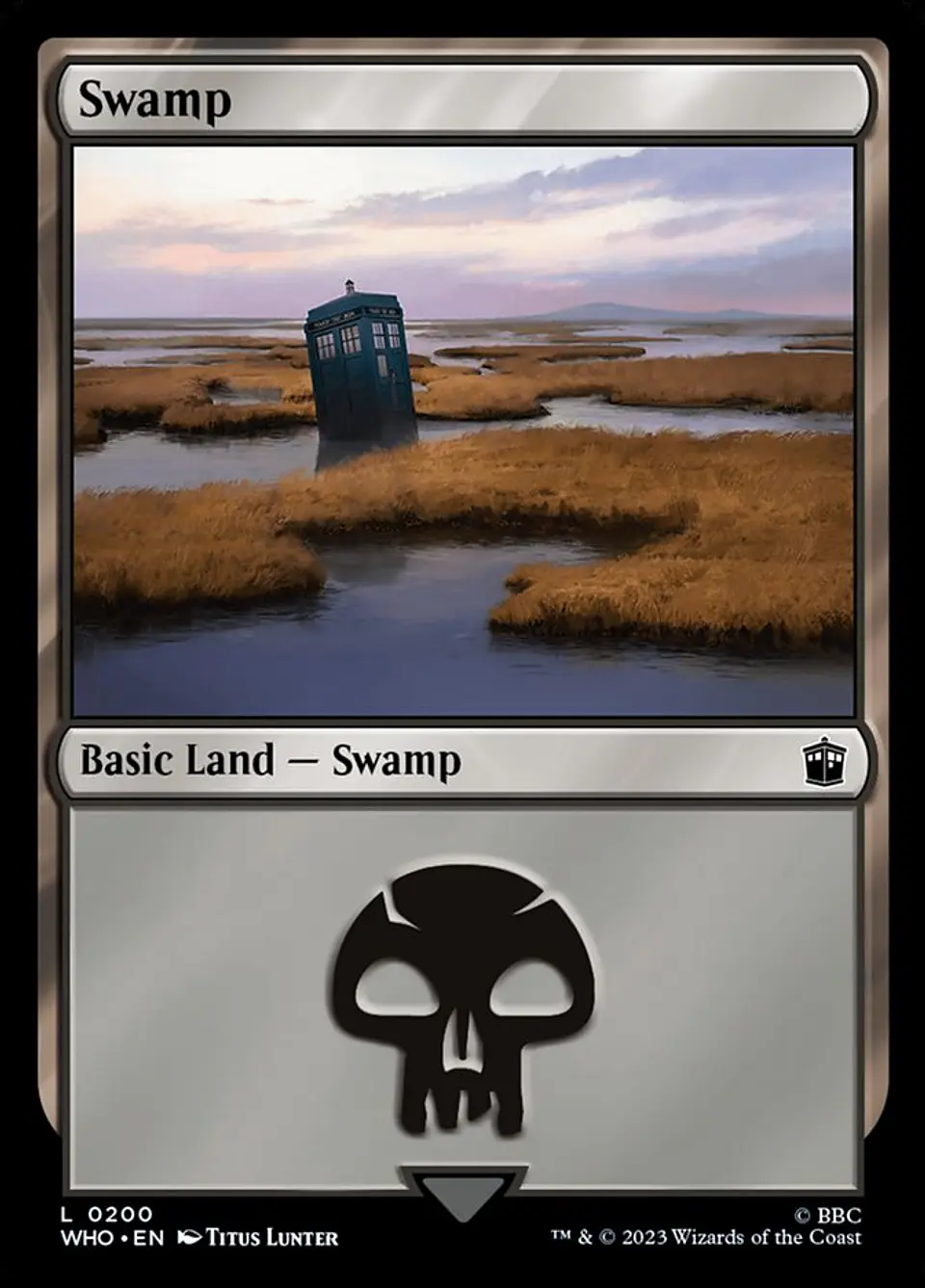 Swamp 1