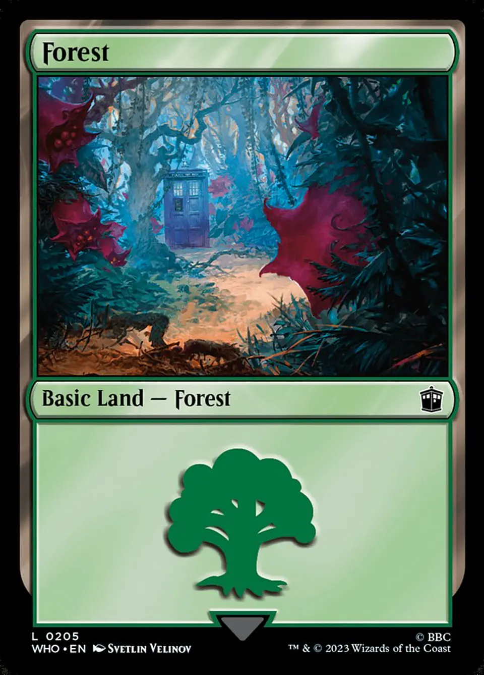 Forest 1